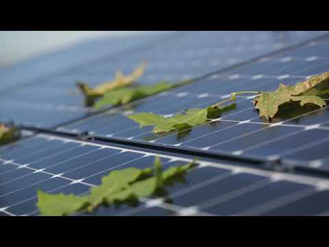 Células solares SunPower MAXEON IBC y su comportamiento en sombra