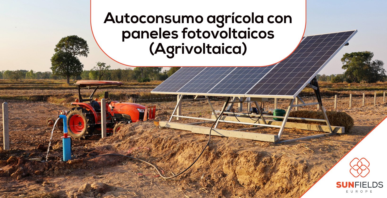 Autoconsumo agrícola con paneles solares (agrovoltaica)
